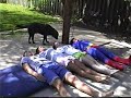 superman-dat-ho.html
