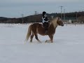 trot, galop et arr�t manqu�...
