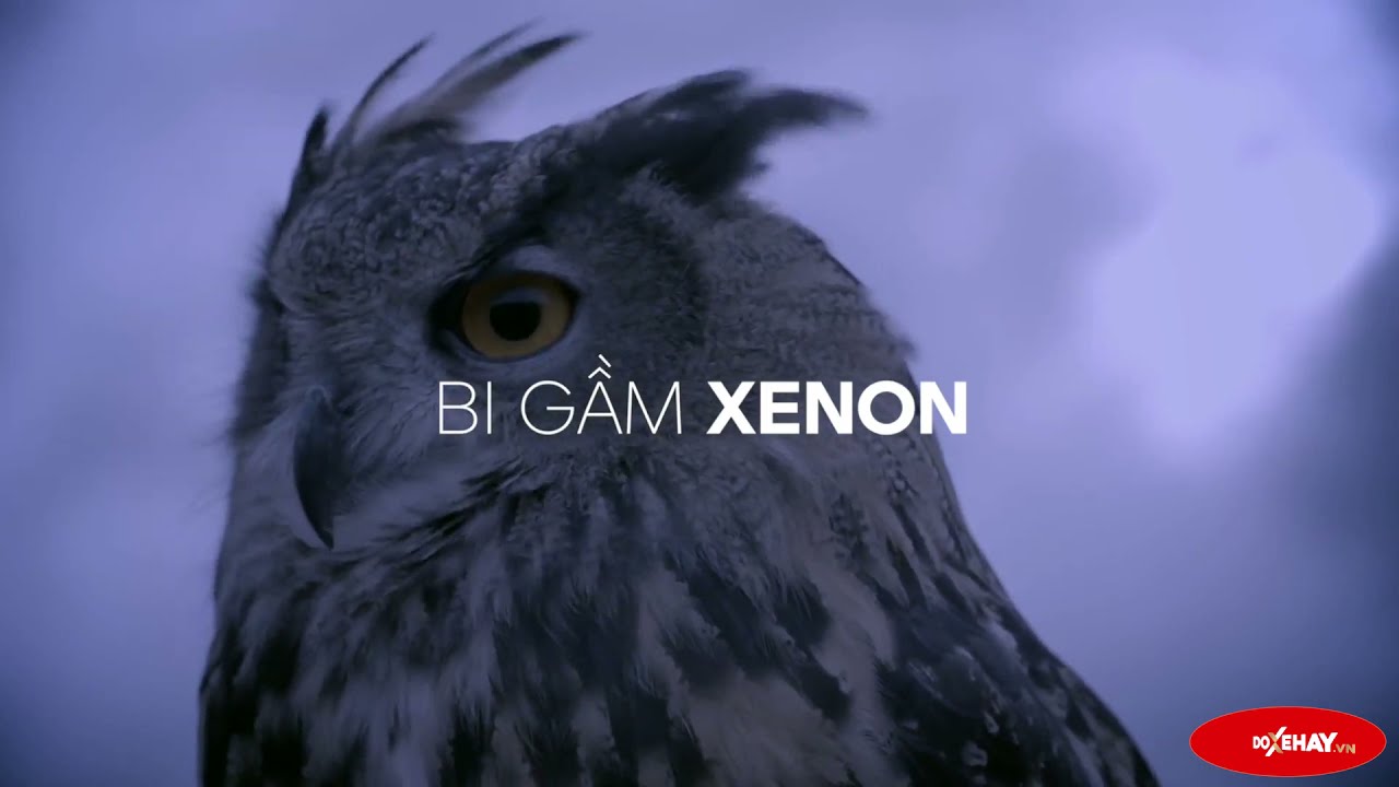 Video Clip Bi gầm XENON OWL FOG LIGHT