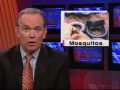 Mosquitos - NJN News