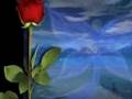 UN MONDE MERVEILLEUX - A DREAM WORLD