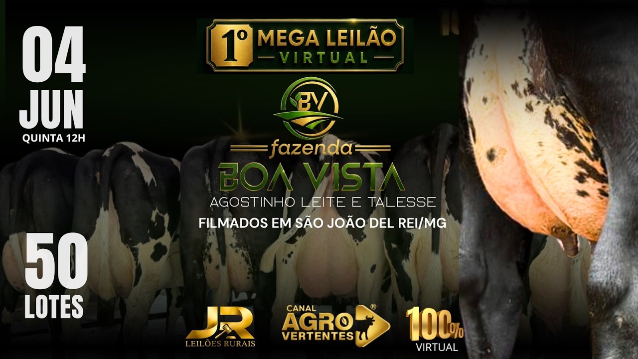 1º LEILÃO VIRTUAL FAZENDA BOA VISTA - AGOSTINHO LEITE & TALESSE - SÃO JOÃO DEL REI/MG - 04/06/2026