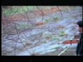 Elettrojoyce - Licenziare