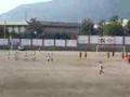 ippogrifo-sant'antonio abate