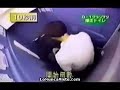 Broma WC en Japón