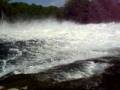 videos de Friendly Acres 2008