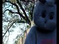 FOLLOW THE WHITE RABBIT