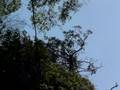 videos de Victoria Falls.MOV