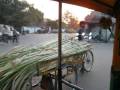 Lovely India's Life..