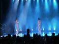 Quimera-Flamenco-Dan