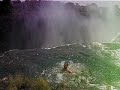 Victoria Falls Leap of Faith Victoria Falls Leap of Faith