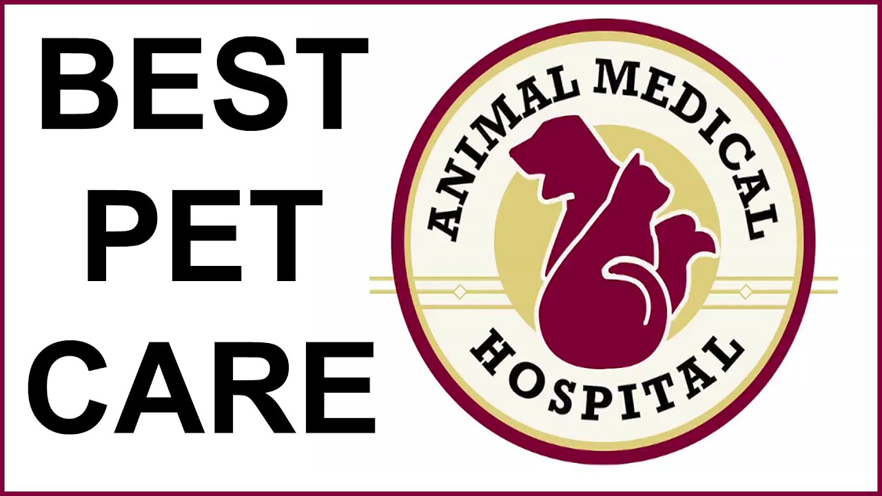 Animal Medical Hospital