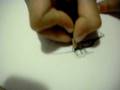 videos de Nadia Doodle