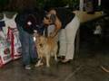 Dogstar panama, Hotel fundadores Pet Show 2007