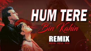 Hum tere bin kahin  Remix  Kush Hell Mix  Anuradha