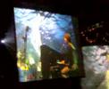 James Blunt - Carry you home (live @ Assago - Milan)