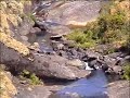 WESTERN CATCHMENT,TAMIL NADU,INDIA.