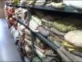 Dec 02 2008 - VID00054