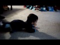 CLIP0019.MP4