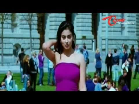 Don Seenu, Ravi Teja, Shriya, Anjana Sukhani, Srihari, Sayaji Shinde, Brahmanandam, Ali, Sunil, Raghu Babu, Krishna Bhagawan, Nasser, Brahmaji, Duvvasi Mohan, Mahesh Manjrekar, Satyam Rajesh, Vijay Sai, Dil Ramesh, Venu Tillu, Delhi Rajeswari