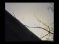 UFO over Cleveland 1997