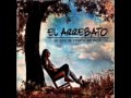 Video Lady Luna El Arrebato