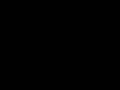 LA SAETA