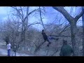 treehugger.html