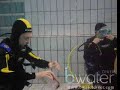 Curso open water 3 2008 en piscina la mascara