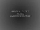 Harley D-Day 2007