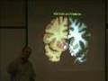 Francisco Aboitiz: Sindrome de Deficit Atencional...