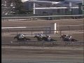 Buddy's Saint - 2009 Remsen (G2)
