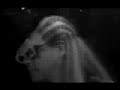 Mutantes - Quem tem Medo de Brincar de Amor