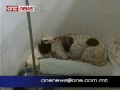 aktar kazijiet ta' mohqrija fuq l-annimali.fis-sieghat li ghaddew l-animal welfare sabet kelb fis-siggiewi midrub b'tir t'arma tan-nar f'dahru.dan il-kelb bhalissa qed jirkupra fic-centru ta' san frangisk f'ta' qali.