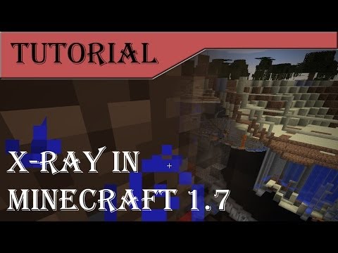 how to stop x ray minecraft