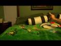 videos de Cat Snap