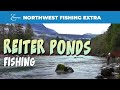 Reiter Ponds on the Skykomish River - YouTube