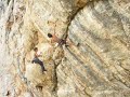 Annat Bosio dans un 8b de Toulon
