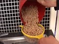 hur gör man hummus - how to make hummus!