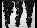 DITHYRAMBE -- la naissance de la vigne --