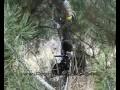 Pustynna Burza - W?oc?awek - www.Paintball.54.pl Pustynna Burza - W?oc?awek - www.Paintball.54.pl