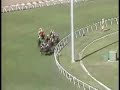 1984 Breeders Cup Turf - Lashkari upsets All Along