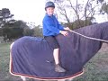 Bunky Being Ridden BareBack In Padock