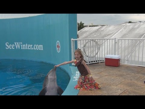 Clearwater Marine Aquarium - 2013