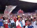 Torcida Tigão X lagartixa Torcida Tigão X lagartixa