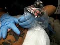 My tattoo latest session