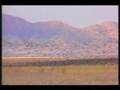 Azure Fields - Living Light