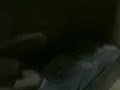 Esposito gay Esposito gay