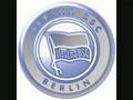 Hertha BSC - Ein Leben eine Liebe