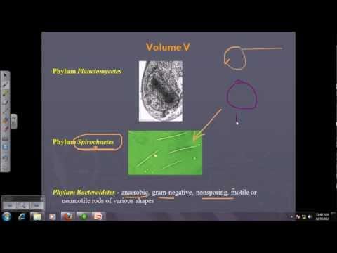 how to isolate spore forming bacteria from soil